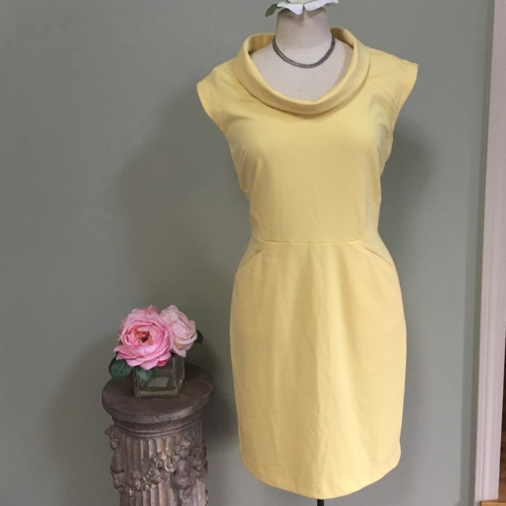 New Banana Republic Dress